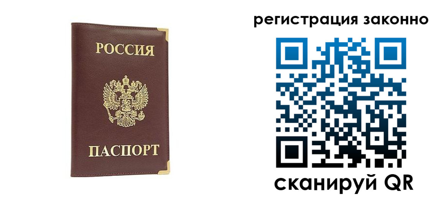прописка паспорт в Мончегорске